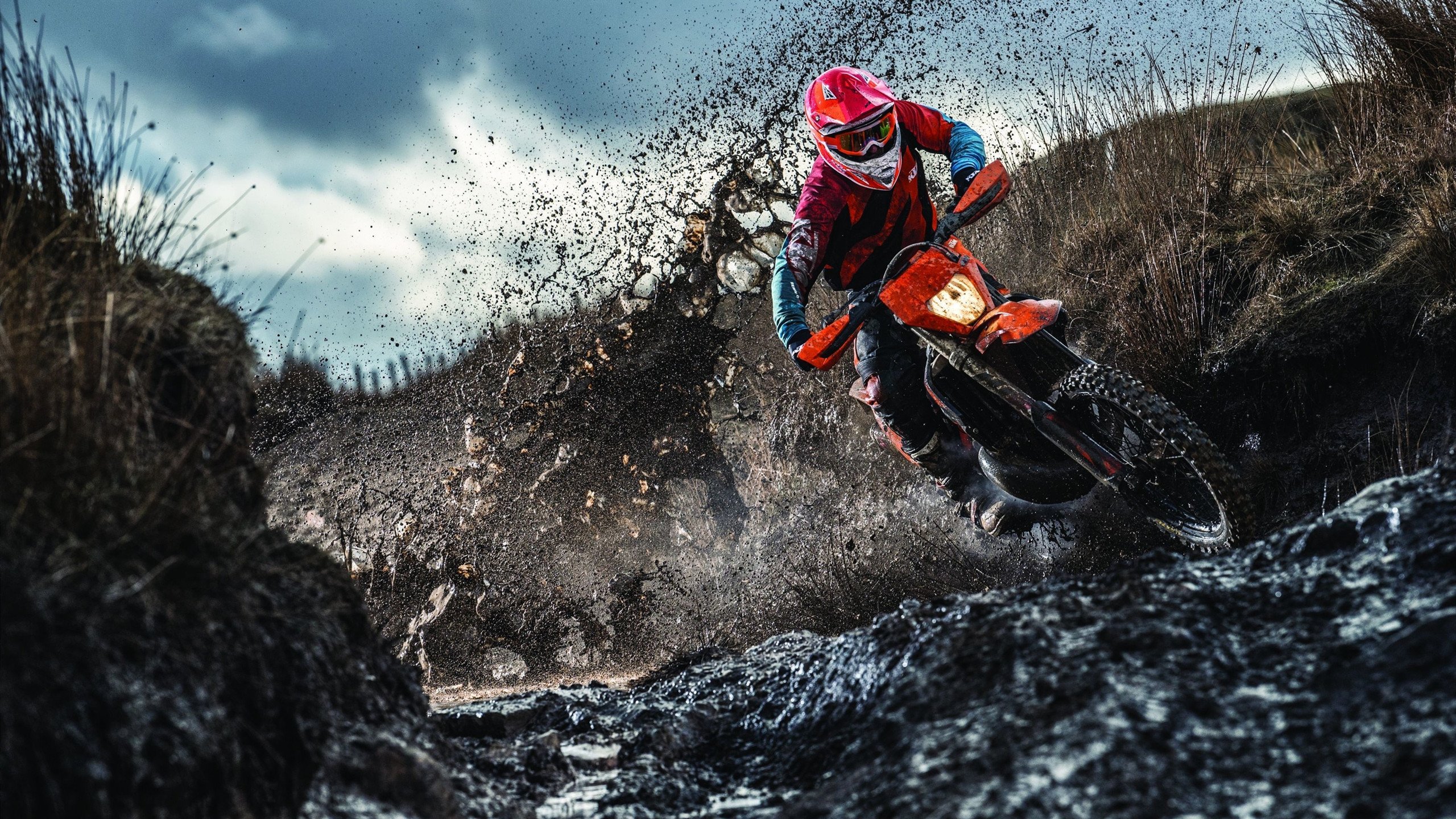 美国马术协会推出青少年马术培训计划,培养未来骑手。,马术 青少年