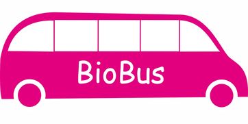 九游-意甲联赛的绿色可持续发展，意甲联赛啥意思